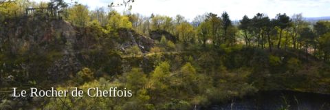 Le Rocher de Cheffois stone grove in the Vendee