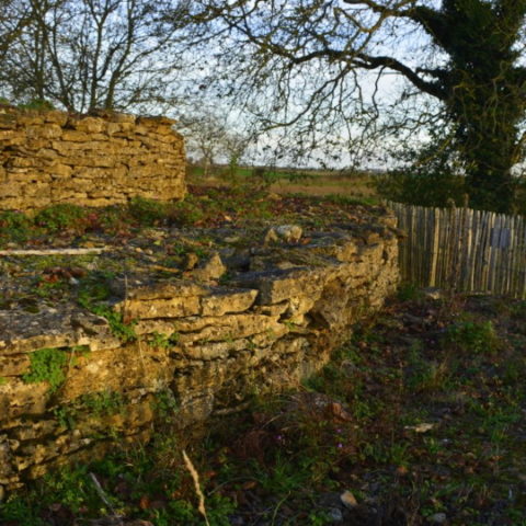 Ciste des Cous Bazoges-en-Pareds prehistoric gravesite