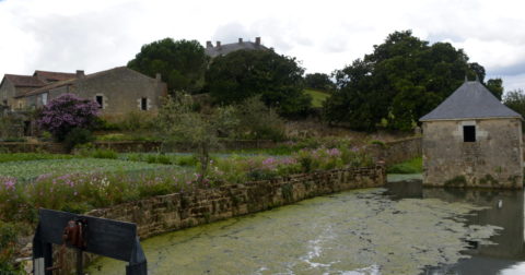 Chateau ou Logis de la Chevallerie en Vendee monument historique