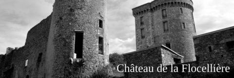 chateau de la Flocelliere en Vendee