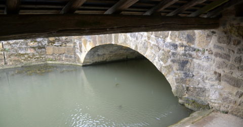 Chateau ou Logis de la Chevallerie en Vendee monument historique