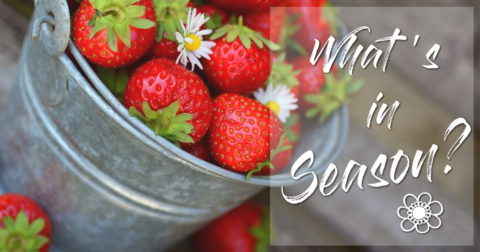 what's in season in France in the spring - fruits and vegetables
