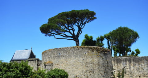 Clisson Castle in Clisson France