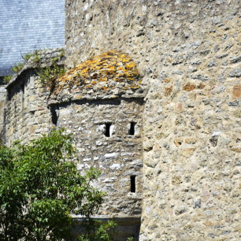 Clisson Castle in Clisson France