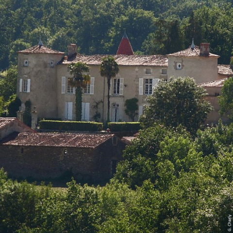 Château de la Grignonnière Vouvant