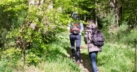 Mervent Forest Hiking
