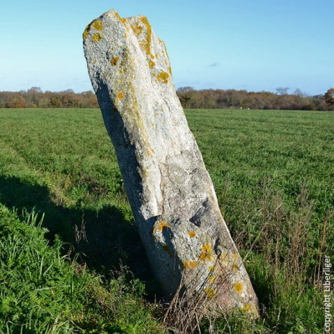 Menhir de la Grande Bernerie Liberliger St Hilaire de Loulay France