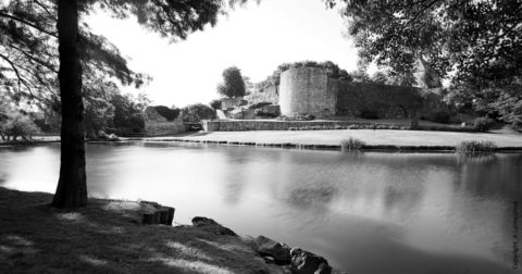 Montaigu Vendee chateau