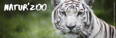 Natur Zoo in Mervent-Vouvant forest