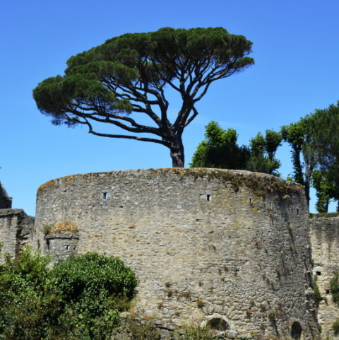 Clisson Castle in Clisson France