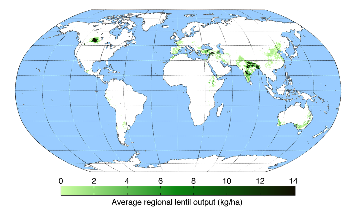 world wide lentil production map