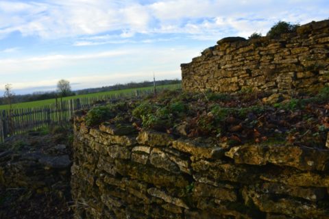 Ciste des Cous Bazoges-en-Pareds prehistoric gravesite