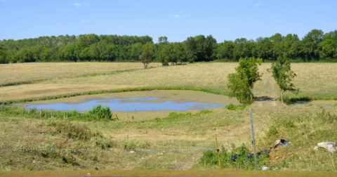 Ancient island of the Vendee La Claye