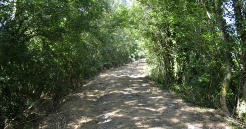 Hiking trail in La Claye village Vendee