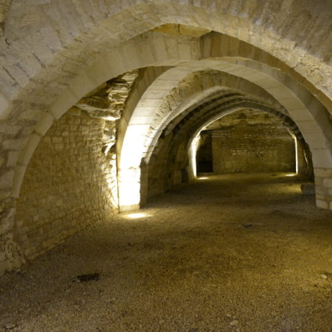 Maillezais wine cellar