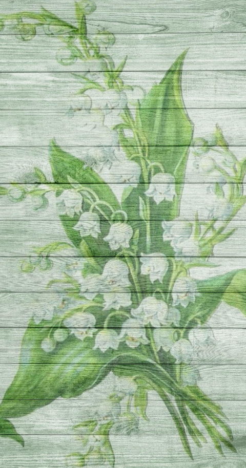May first flowers