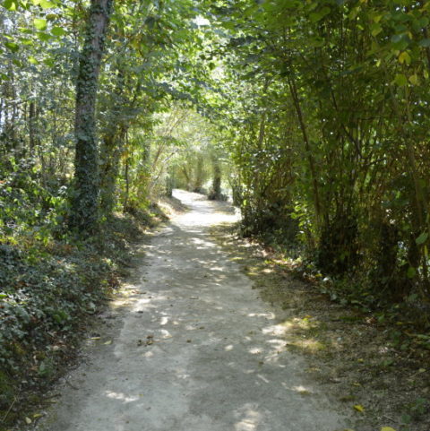 Wooded path to the Chapelle de la Brossardiere