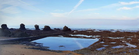 Cinq Pineaux in the Bay of Sion sur l'Ocean in the Vendee