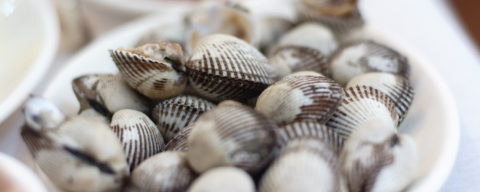 clams