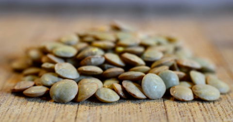 green lentils vendee