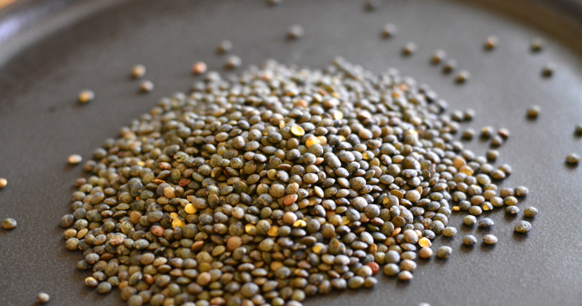 green bio lentils France
