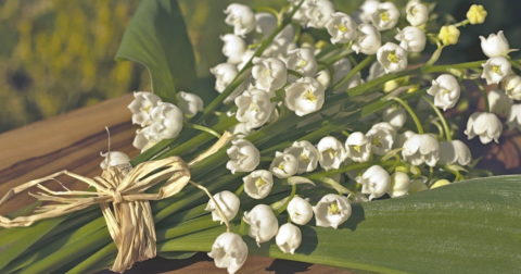Lily of the valley symbolism