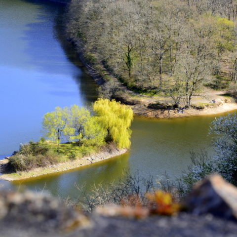 The trail Le Petit Maillezais is 5km long around the lake