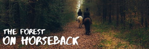 foret massif de mervent vouvant par cheval on horseback