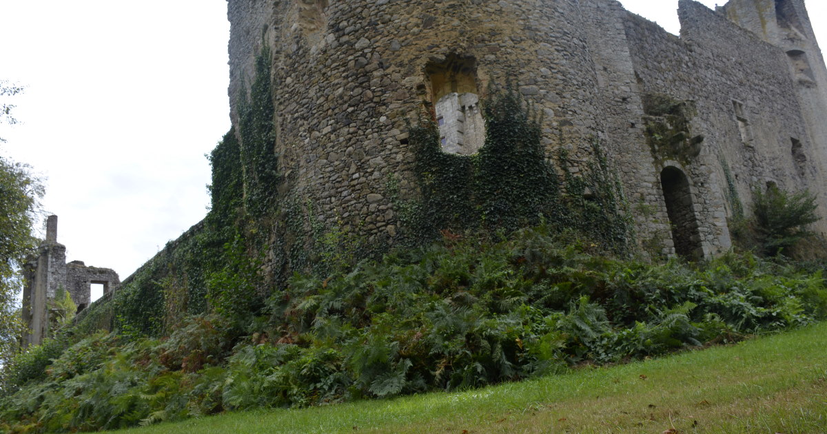 Château de la Flocellière