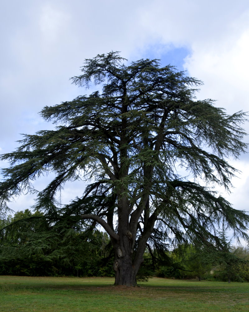 Chateau de Bessay in the Vendee