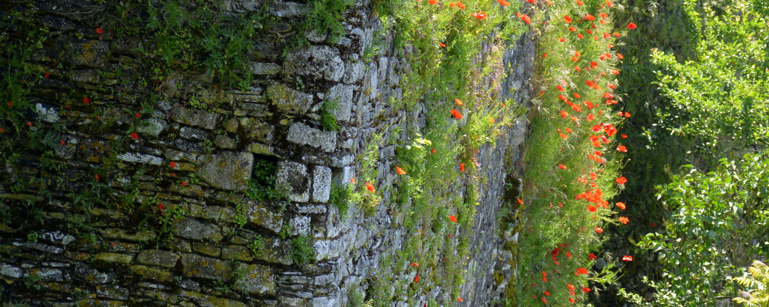 Journees du Patrimoine Vendee
