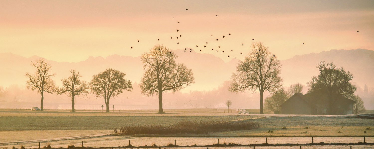 bird flu avian flu pays de la loire 2022
