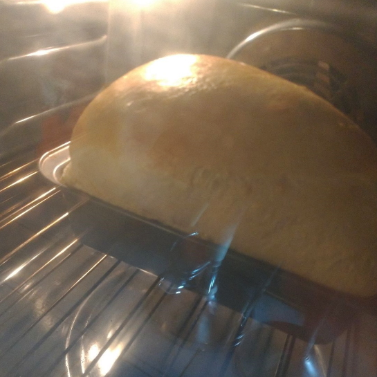 milk bread rising in the oven